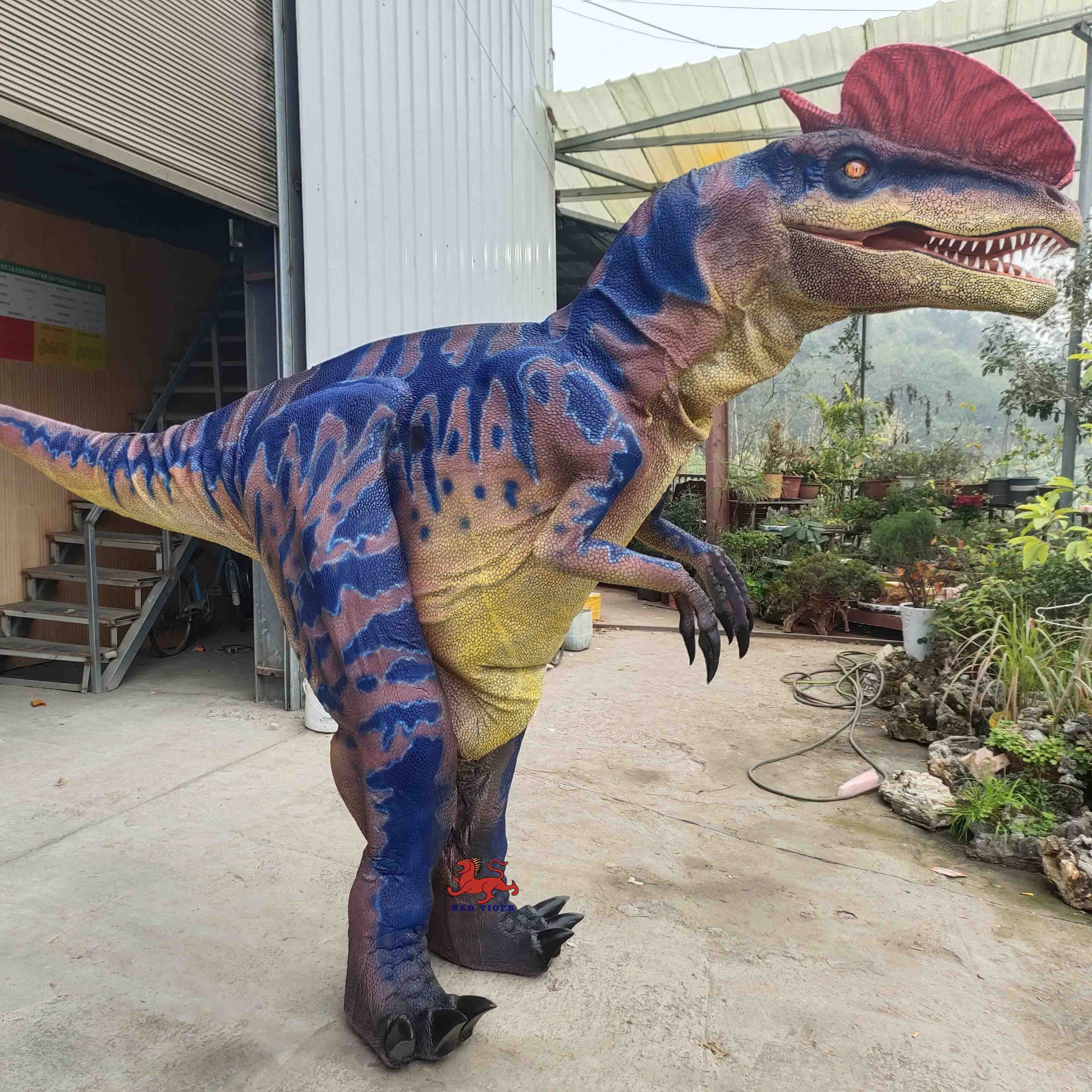 Dilophosaurus  Animatronic Dinosaur Costume Realistic Walking