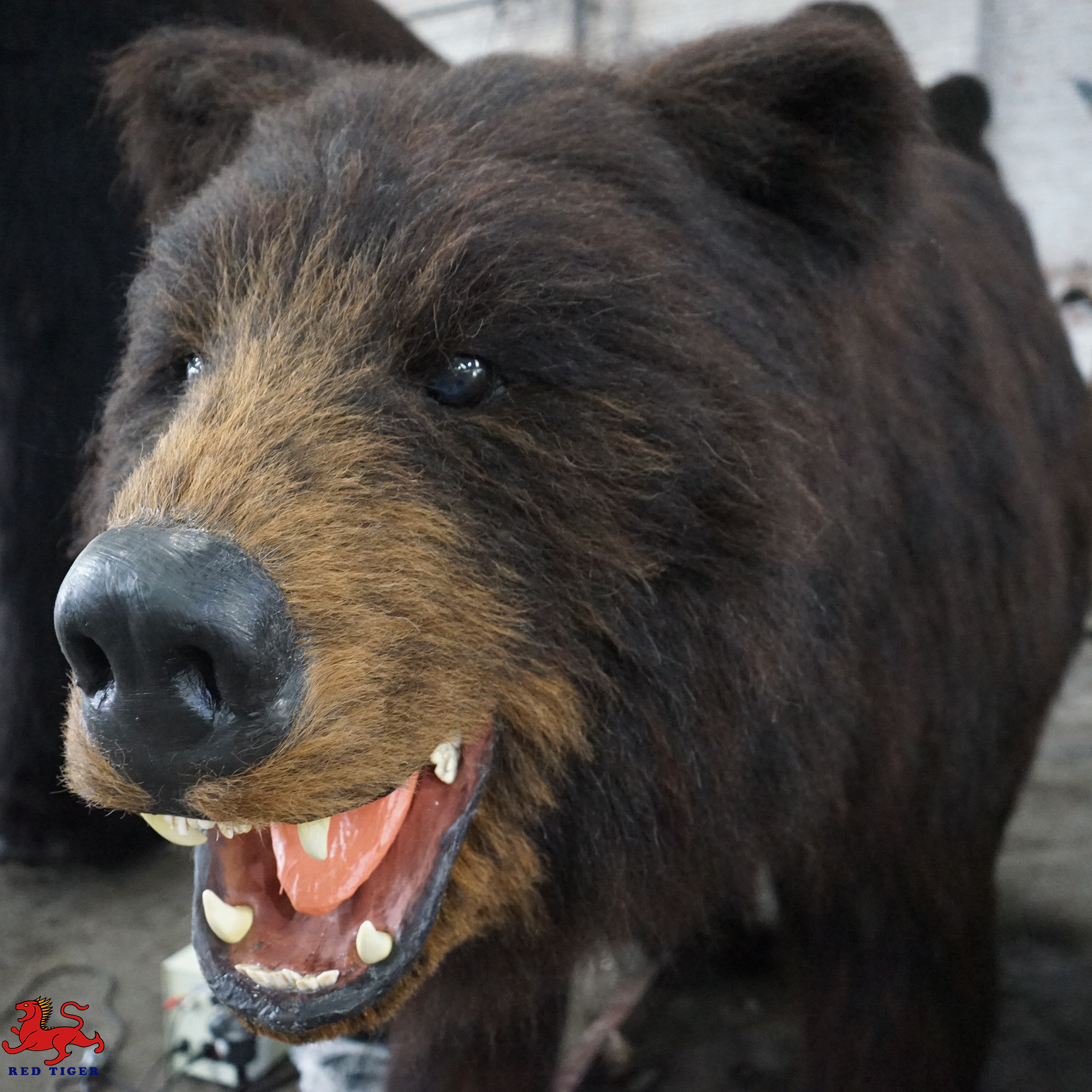 Life Size Realistic Animatronic Simulation Bear Amusement Park Equipment for Sale