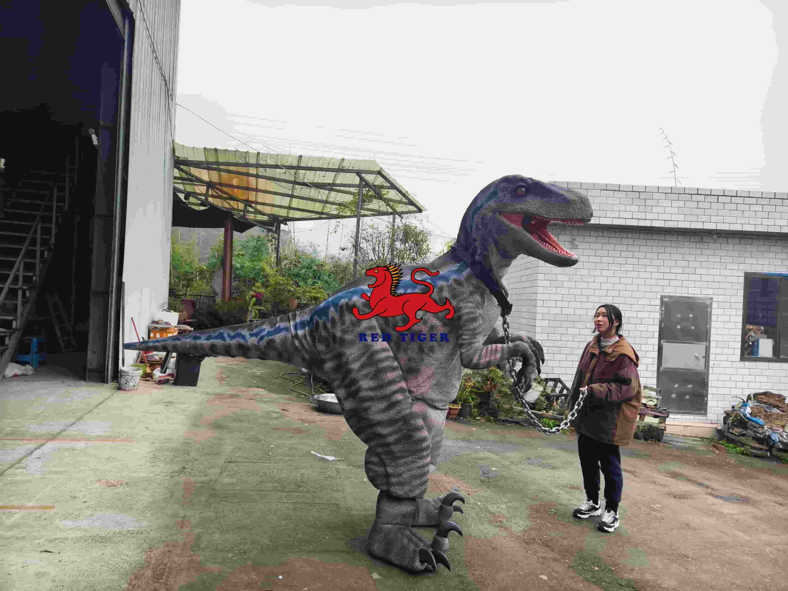 Realistic Velociraptor Dinosaur Costume for Live Shows and Events
