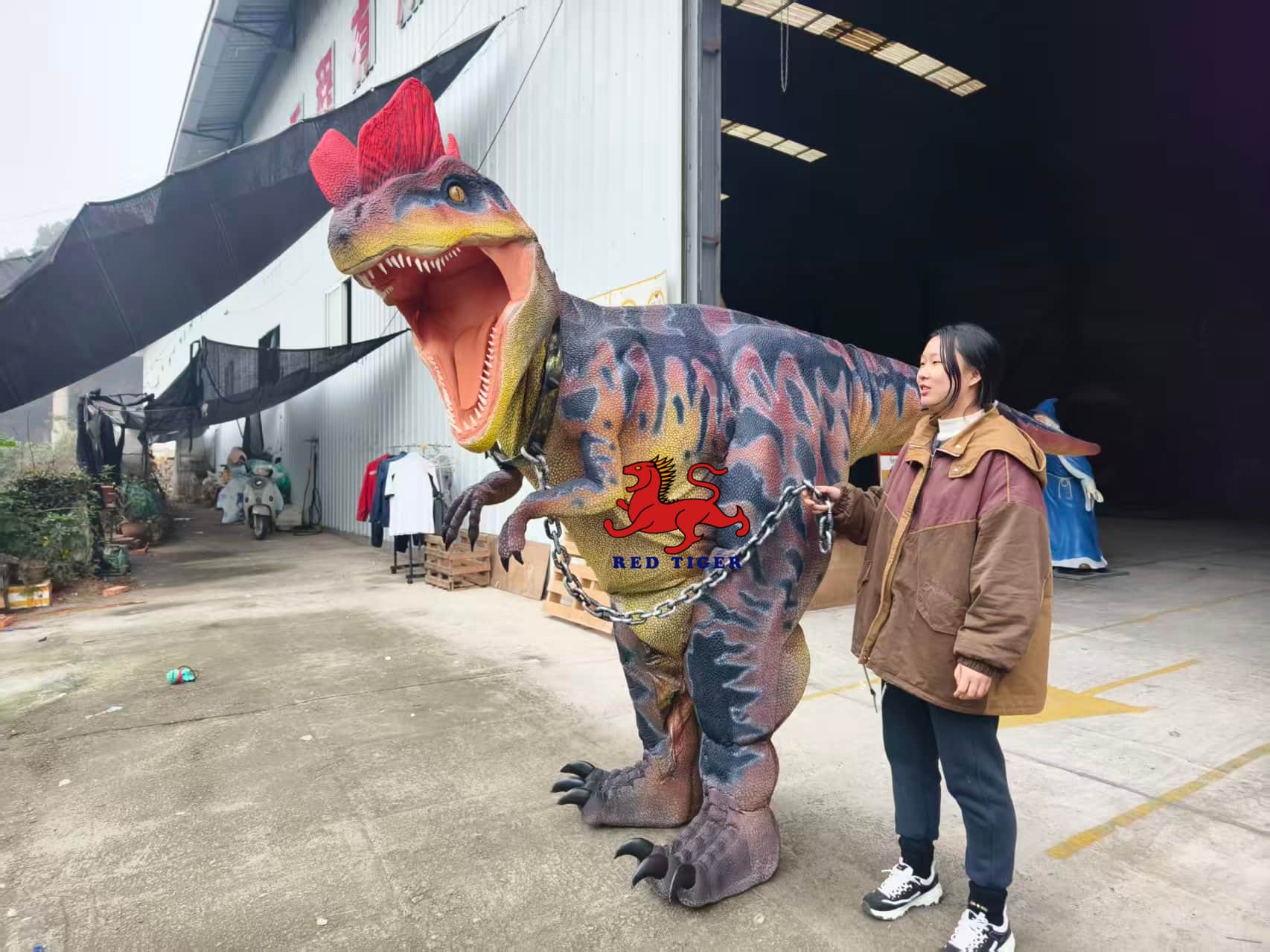 Realistic Dilophosaurus Dinosaur Costume for Live Shows and Events