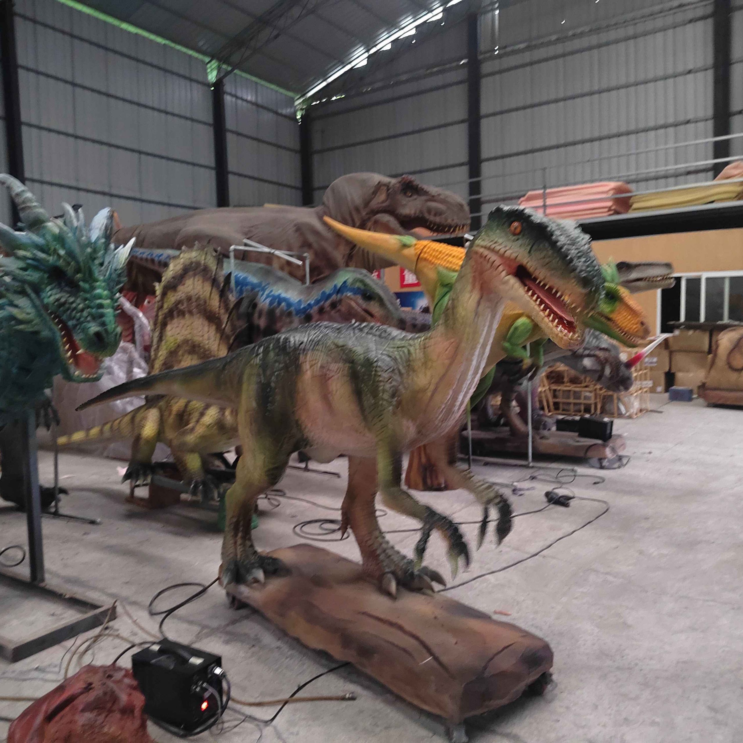 Real Size Full Animatronic Coelophysis for Jurassic Dinosaur Adventure Park