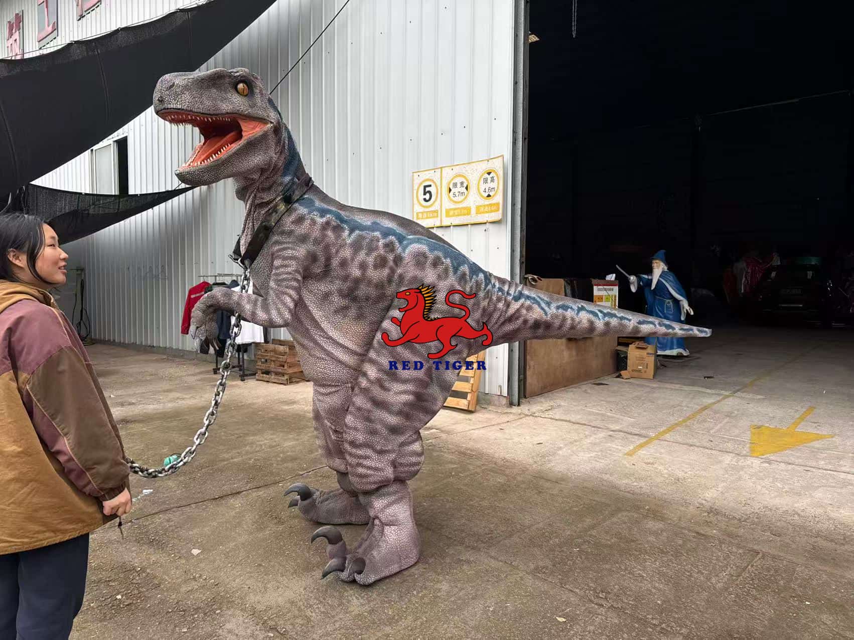 Realistic Velociraptor Dinosaur Costume for Live Shows and Events