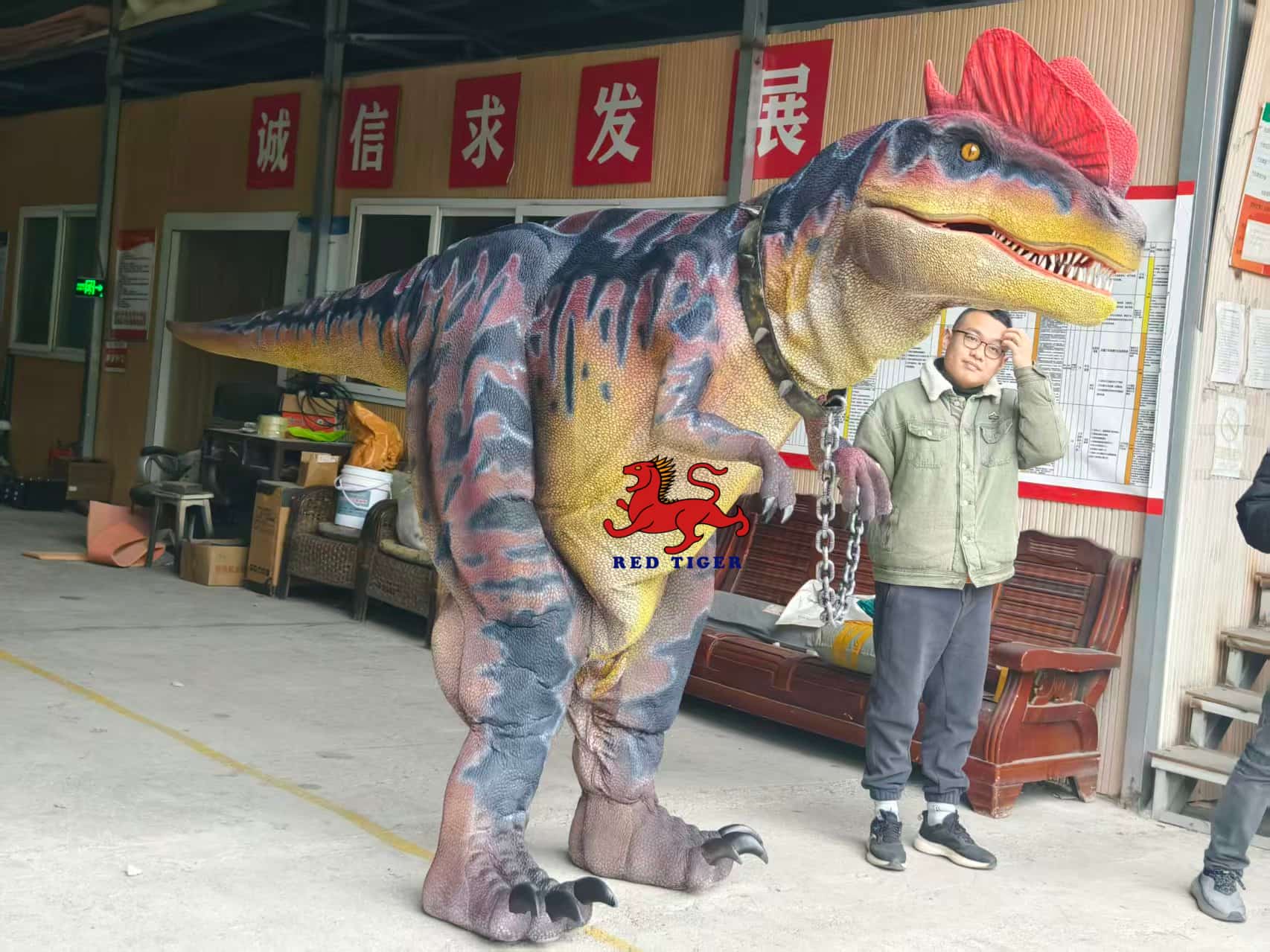 Realistic Dilophosaurus Dinosaur Costume for Live Shows and Events