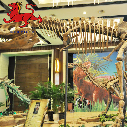 High Simulation Dinosaur  fossil for museum