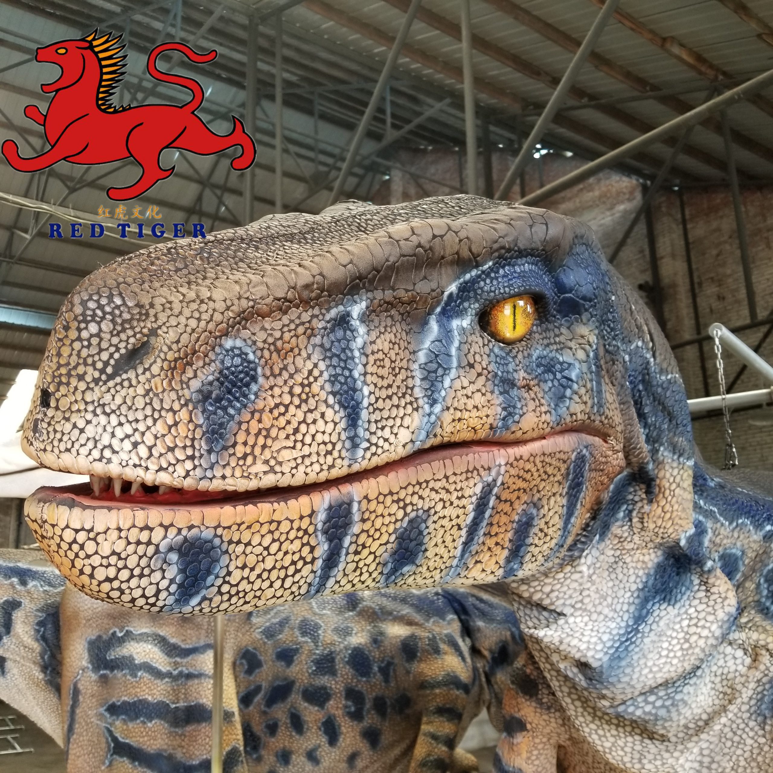 Amusement Life Size Realistic Animatronic Velociraptor Dinosaur Dragon Costumes