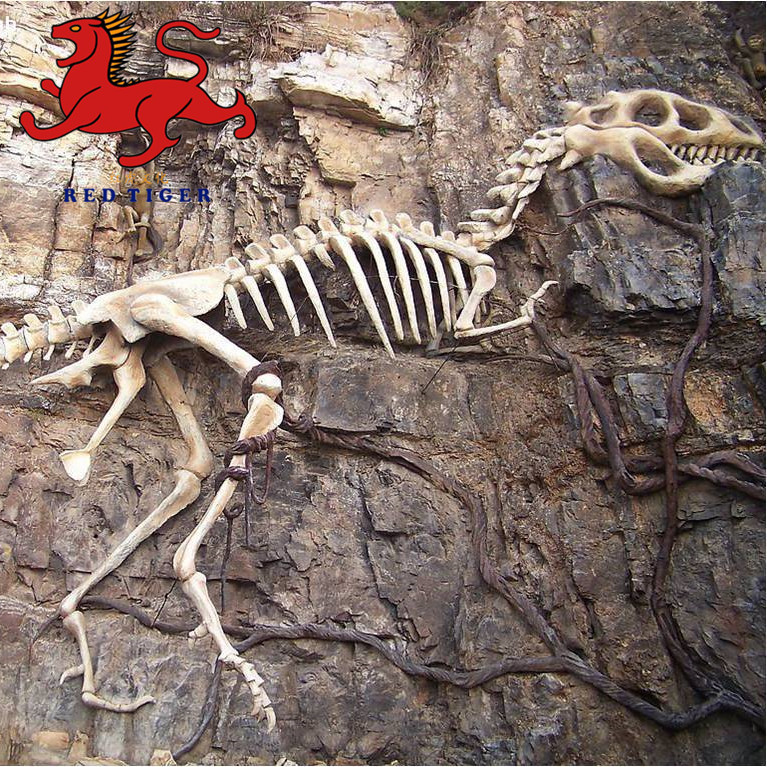 Dinosaur Skeleton Fossils Factory for Sale