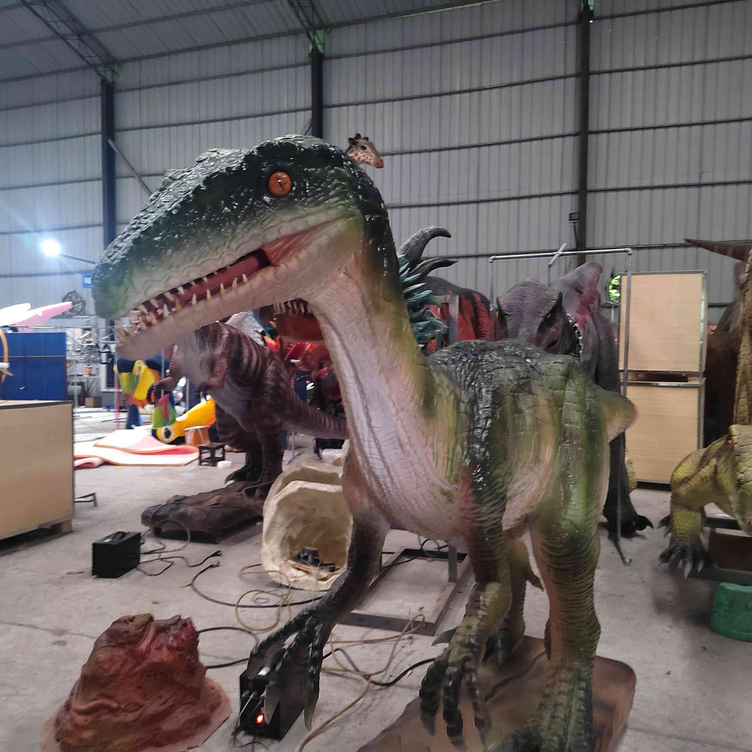 Real Size Full Animatronic Coelophysis for Jurassic Dinosaur Adventure Park