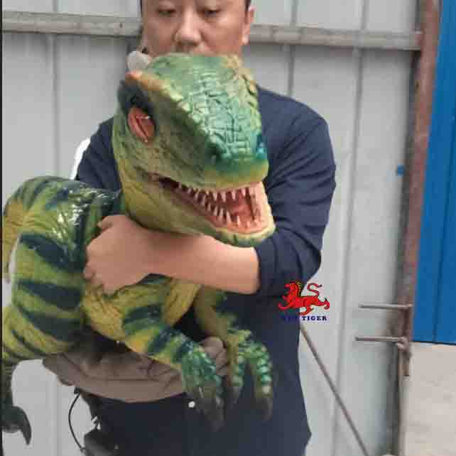 Amusement Park Products  Robotic Animatronics Baby Realistic raptor Puppet for Sale