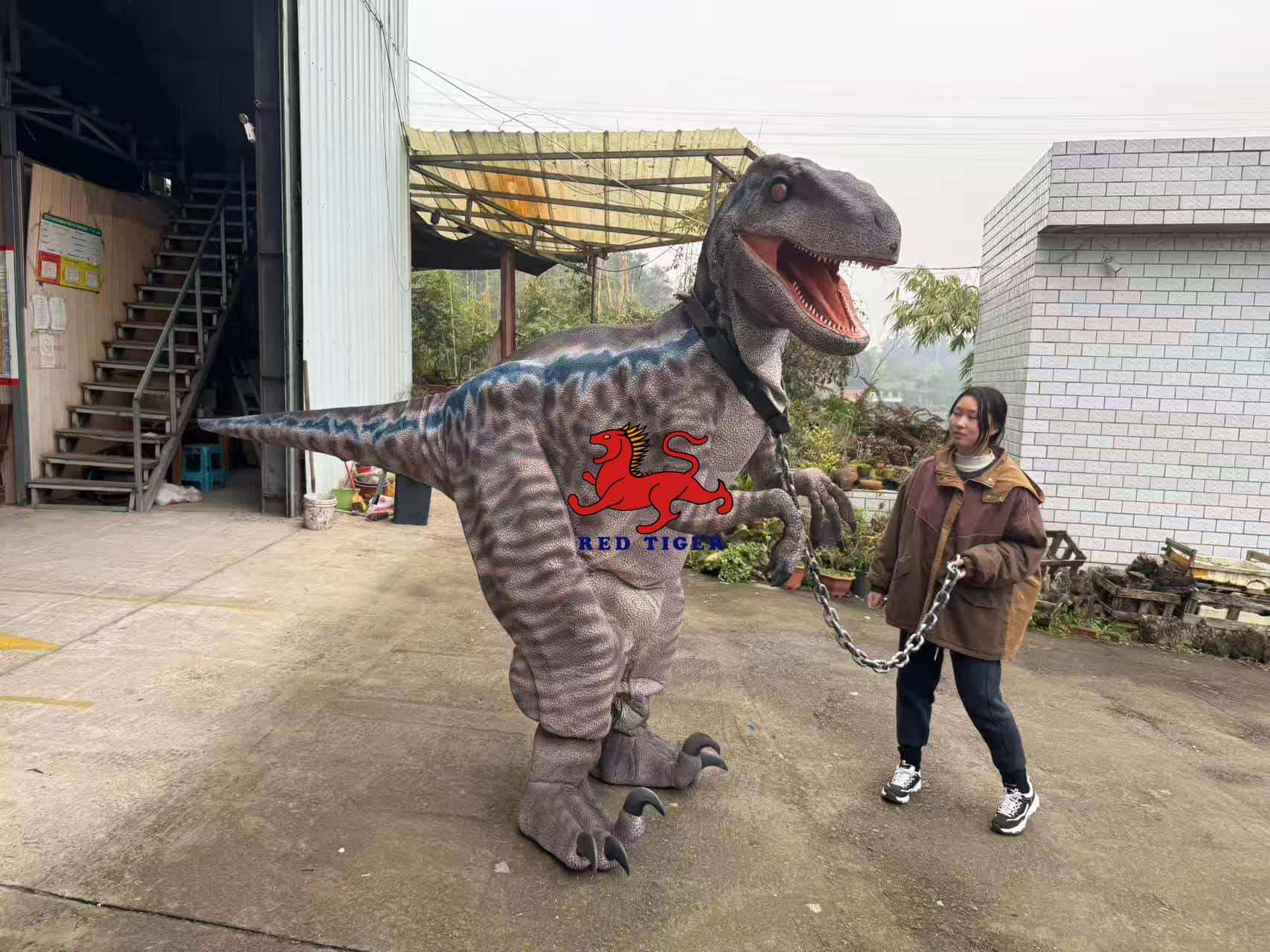 Realistic Velociraptor Dinosaur Costume for Live Shows and Events