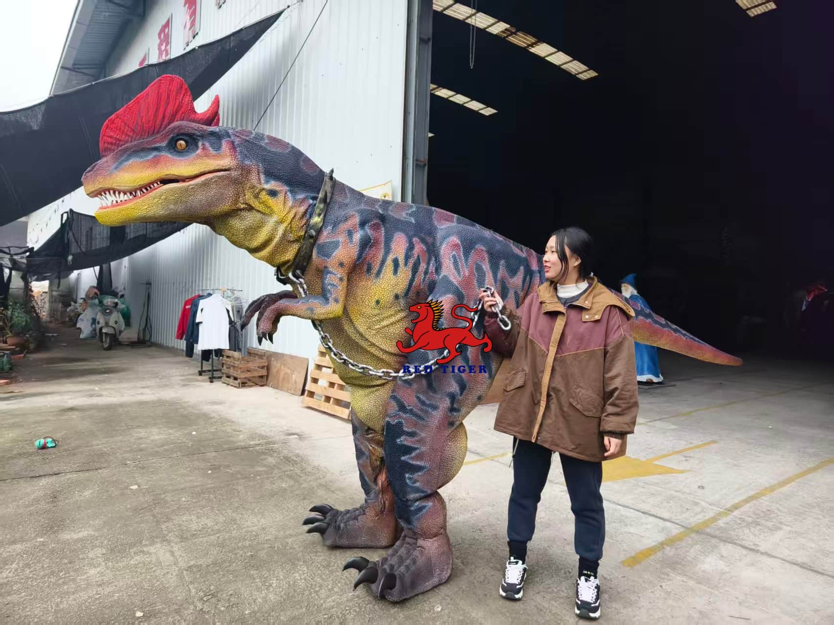 Realistic Dilophosaurus Dinosaur Costume for Live Shows and Events