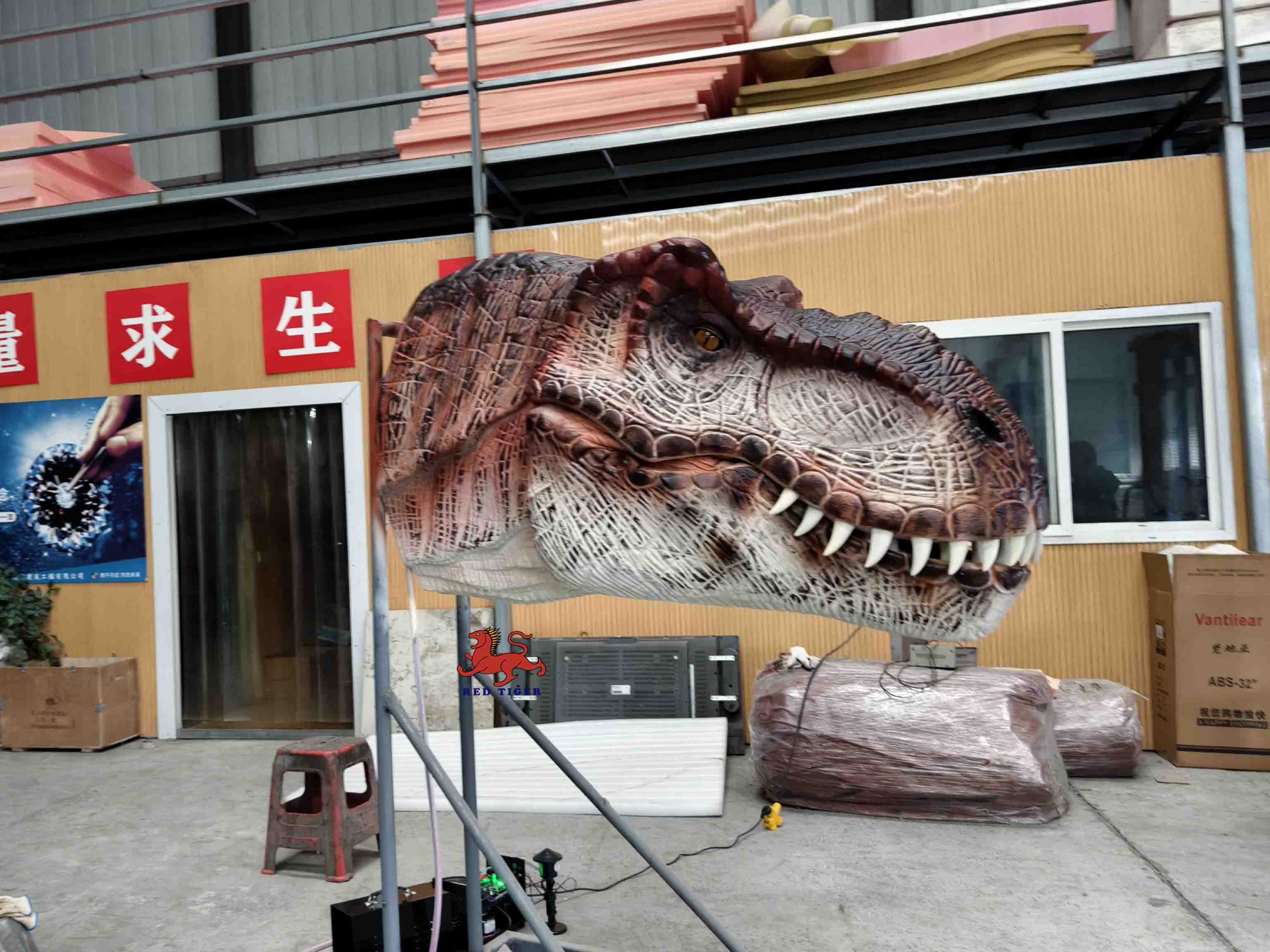 Animatronic Wall Mounted Dinosaur Head   for Kids Play Amusement Park Lifesize Animatronic Dinosaur Model