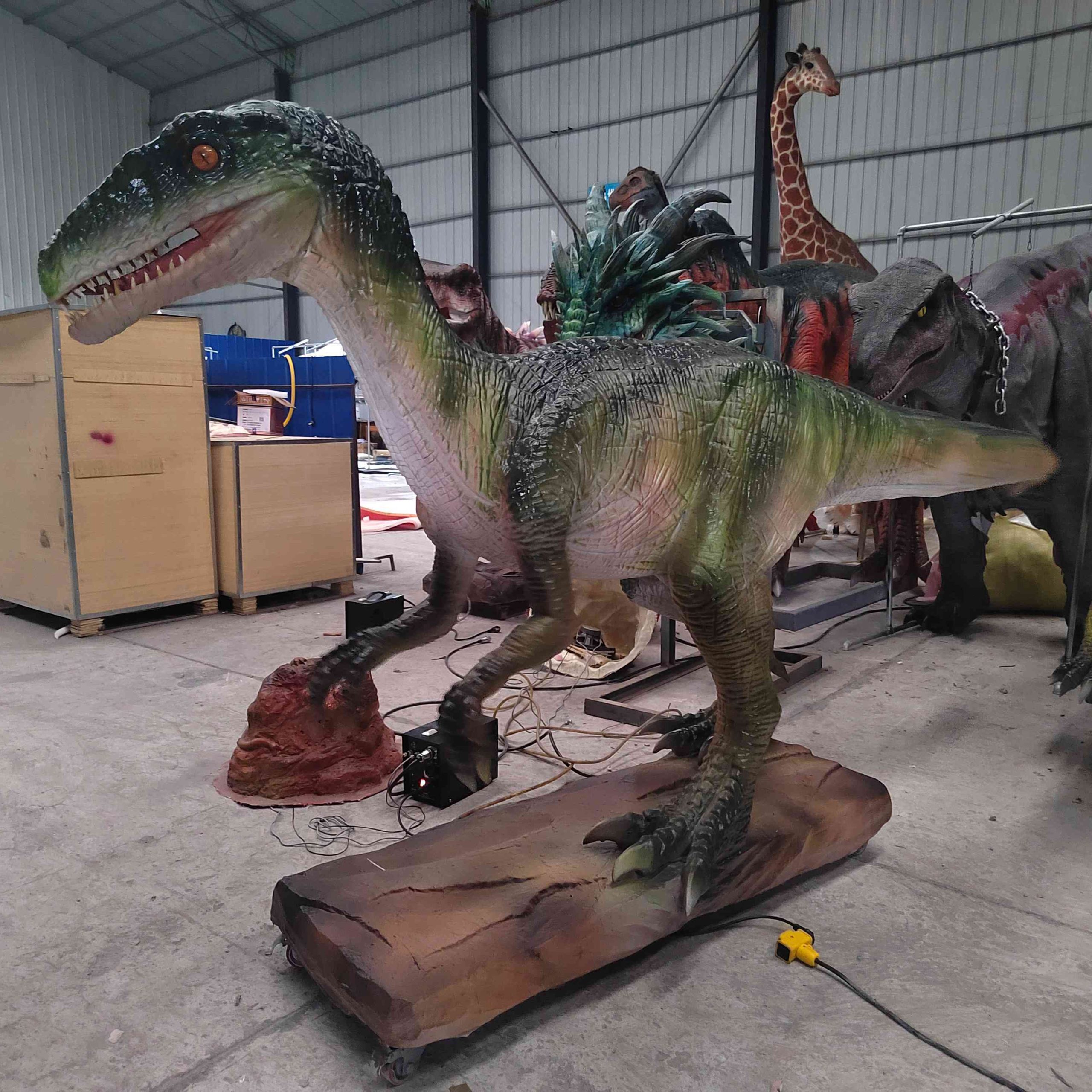Real Size Full Animatronic Coelophysis for Jurassic Dinosaur Adventure Park