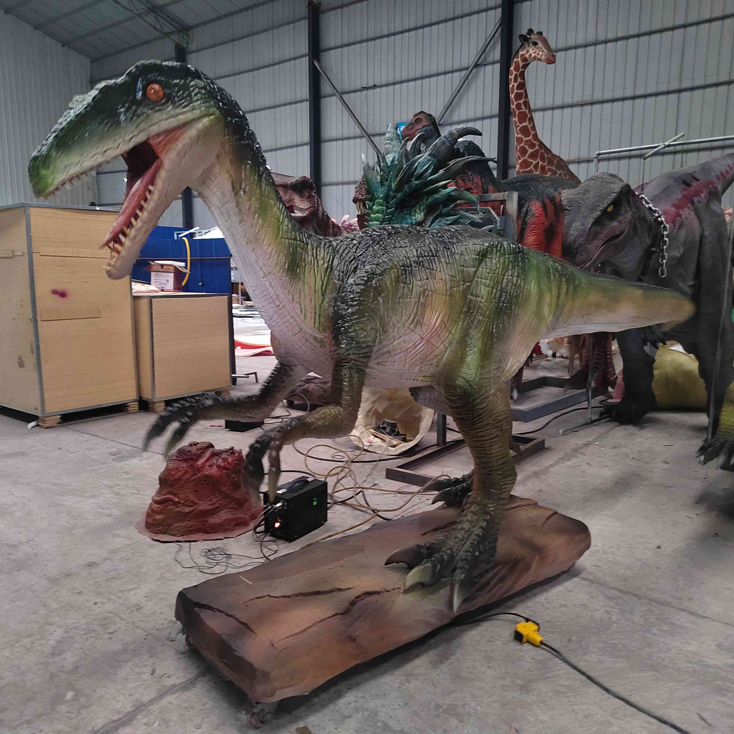Real Size Full Animatronic Coelophysis for Jurassic Dinosaur Adventure Park