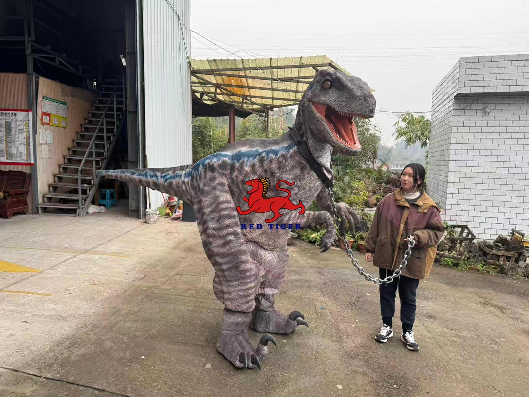 Realistic Velociraptor Dinosaur Costume for Live Shows and Events