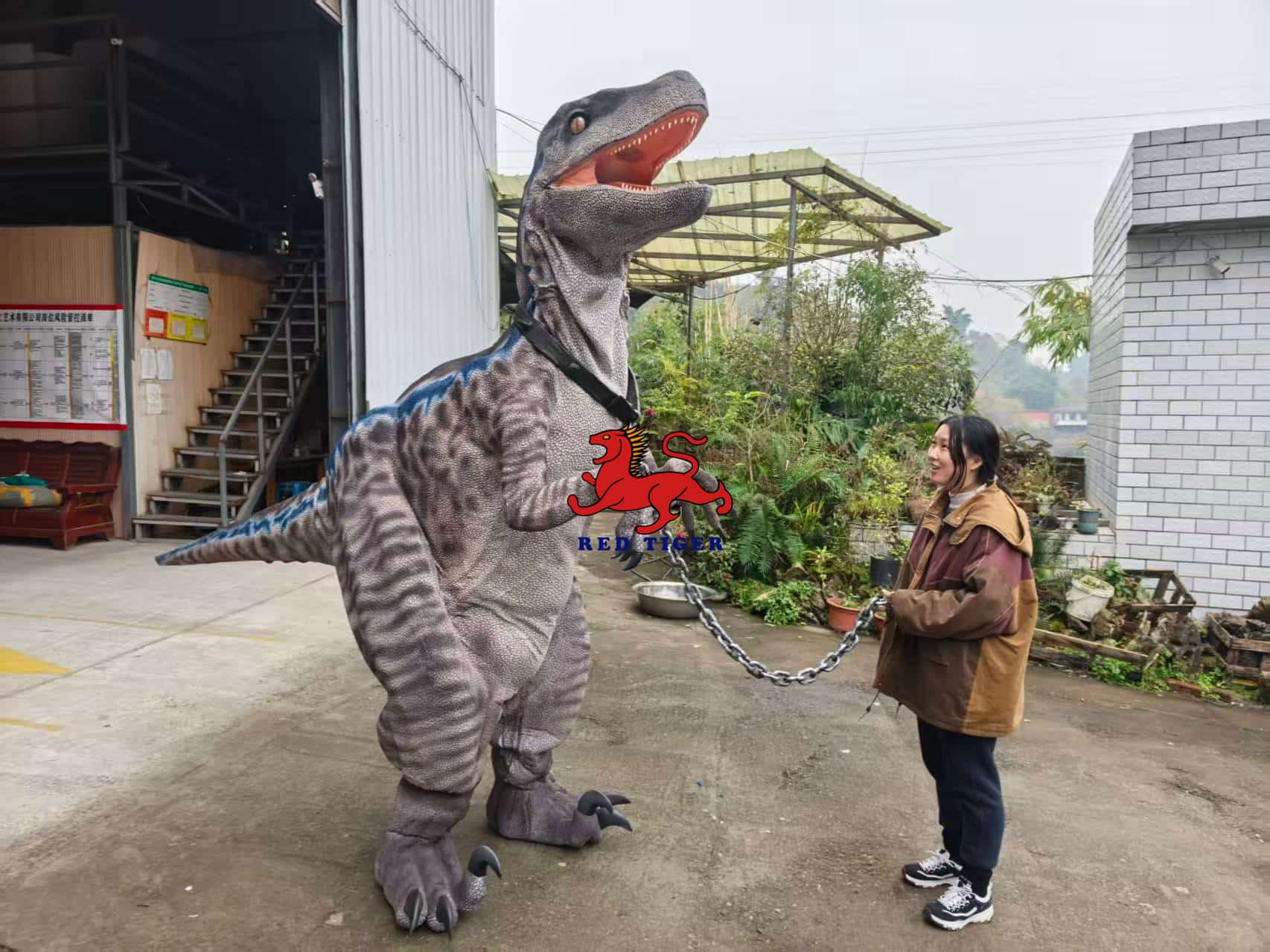 Realistic Velociraptor Dinosaur Costume for Live Shows and Events
